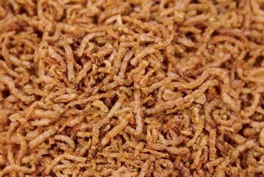 Betta Feeding – Essential Betta Fish Foods Types Betta Fish Foods